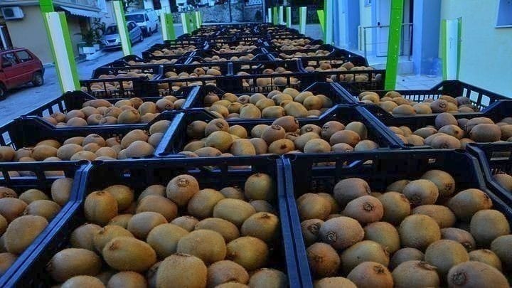 Το ελληνικό ακτινίδιο ενισχύει τη θέση του στις παγκόσμιες αγορές – Από 1ης Μαρτίου ανοίγει ο δρόμος για το Βιετνάμ