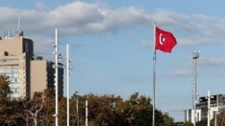 Τουρκία: Ο αστυνομικός που στις διαδηλώσεις στο Γκεζί έριξε χημικά στη «γυναίκα με τα κόκκινα» καταδικάστηκε να φυτεύσει 300 δέντρα - Το ΕΔΑΔ κατακρίνει μια ανεπαρκή τιμωρία
