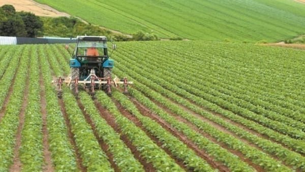 Στήριξη των επενδύσεων στον αγροτικό τομέα και ώθηση στην αγορά αγροτικών μηχανημάτων και εξοπλισμού - Έως το τέλος του έτους η Προδημοσίευση για τα νέα «Σχέδια Βελτίωσης»
