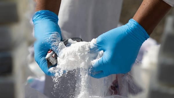 Οργανισμός ΕΕ για ναρκωτικά: Περισσότερη κοκαΐνη και κεταμίνη στα λύματα στην Ευρώπη